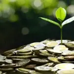 ile kosztuje fotografia biznesowa